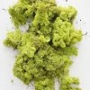 Afloral Bright Green Preserved Reindeer Moss - 1 Lb