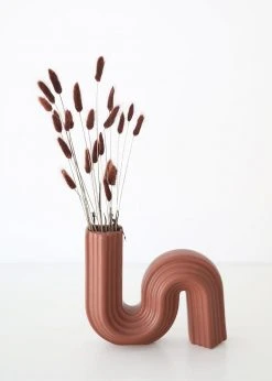 Afloral Dried Flowers Dried Bunny Tails In Walnut - 22-30