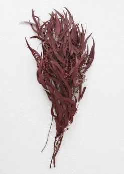 Afloral Preserved Burgundy Seeded Eucalyptus - 18-28" Dried Flowers