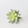 Afloral Artificial Plants Artificial Flocked Succulents Agave Cactus - 4"