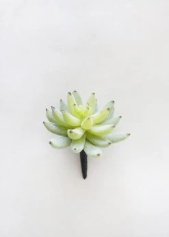 Afloral Artificial Plants Artificial Flocked Succulents Agave Cactus - 4"