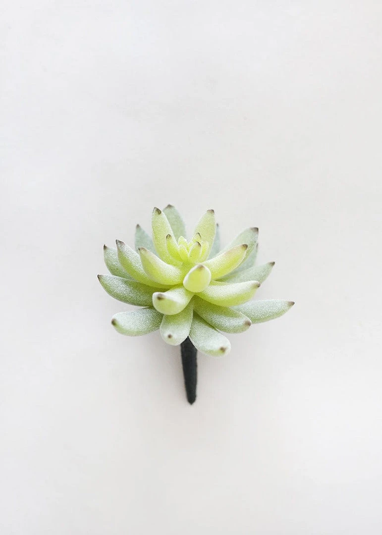 Afloral Artificial Plants Artificial Flocked Succulents Agave Cactus - 4"