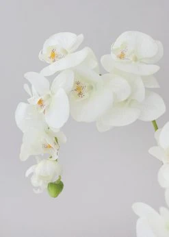 Afloral Artificial Flowers Cream Real Touch Phalaenopsis Orchids - 28
