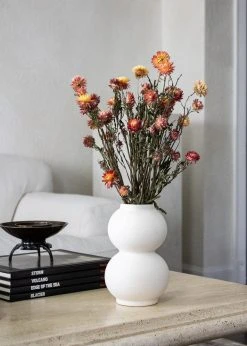 Afloral Dried Flowers Coral Dried Helichrysum Daisies - 15-22