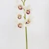 Afloral Cream Burgundy Faux Cymbidium Orchid - 31"