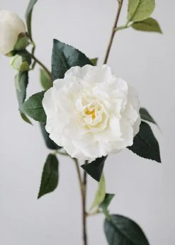 Afloral Real Touch Camellia Roses In Cream White - 35" Artificial Flowers