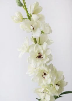 Afloral Artificial Flowers Delphinium Silk Flower In Cream - 36.5"