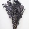 Afloral Preserved Black Purple Mixed Eucalyptus Bundle - 22-32" Dried Flowers