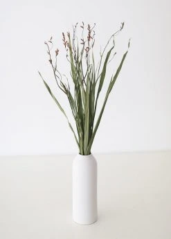 Afloral Dried Orchid Grass With Orange Buds - 22-28" Dried Flowers