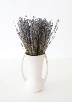 Afloral Dried Fragrant Lavender Bundle - 6-14