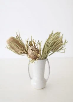 Afloral Bundle Of 2 Dried Banksia Protea Flowers - 12-16