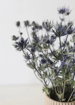 Afloral Dried Flowers Dried Eryngium Sea Holly Flowers - 15-22"