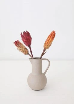 Afloral Bundle Of 3 Dried Protea Repens - 13-15