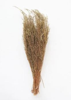 Afloral Natural Solidago Goldenrod Dried Flowers - 12-20"