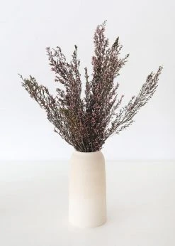 Afloral Naturally Preserved Heather Flowers - 15-20