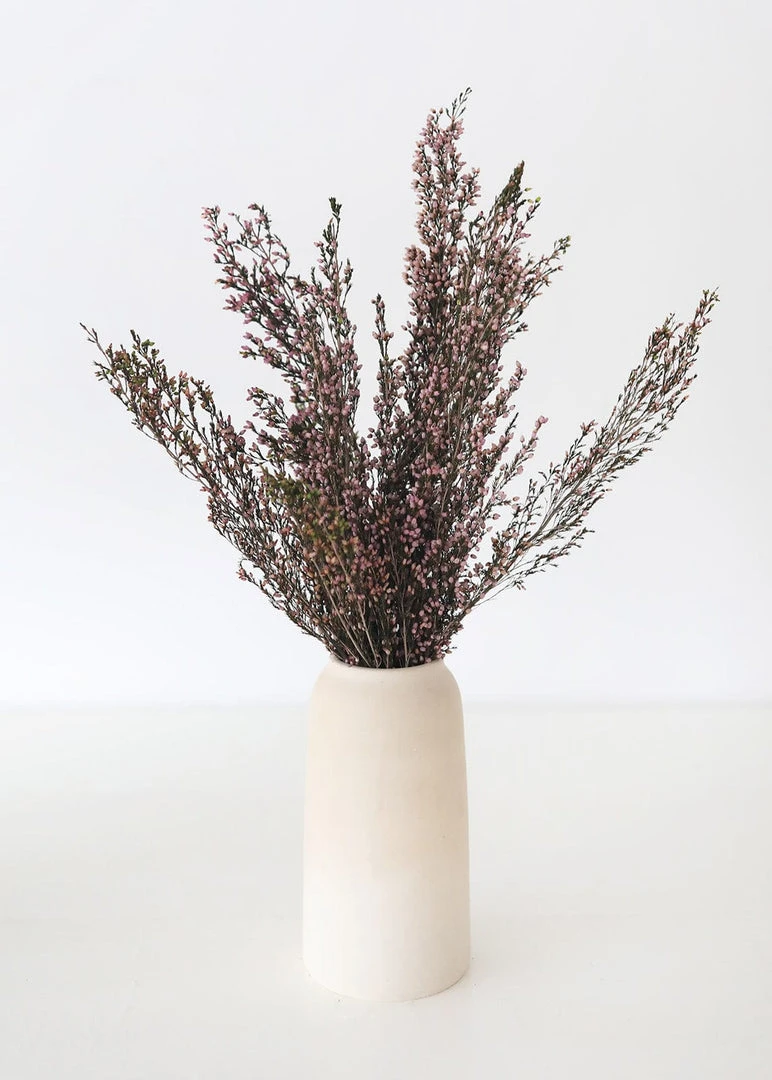 Afloral Naturally Preserved Heather Flowers - 15-20"