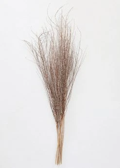 Afloral Dried Hoary Willow Branches - 20-30