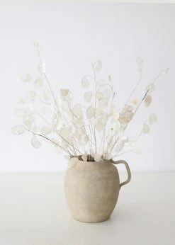 Afloral Dried Flowers Natural Coastal Dried Lunaria Flowers - 24-34