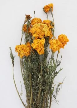 Afloral Yellow Dried Marigold Flowers - 14-22