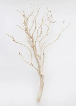 Afloral Dried Flowers Dried Decor Sandblasted Manzanita Branch - 34-38"