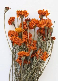 Afloral Dried Flowers Orange Dried Marigold Flowers - 14-22