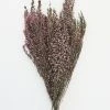 Afloral Naturally Preserved Heather Flowers - 15-20"