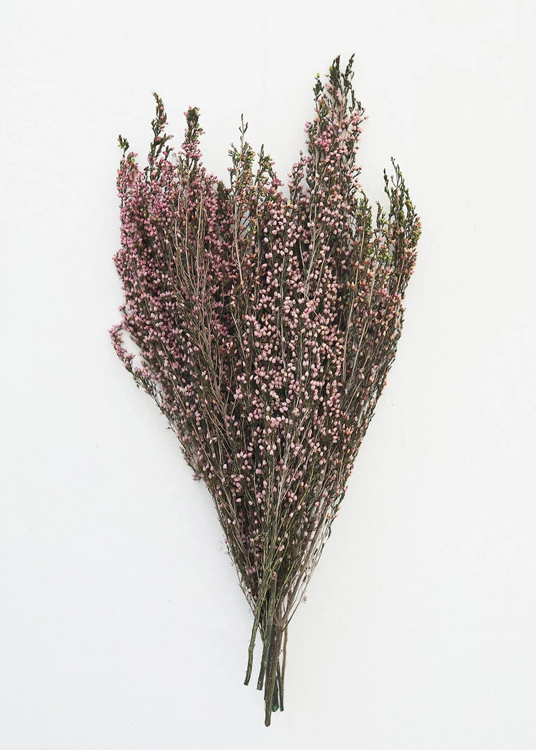 Afloral Naturally Preserved Heather Flowers - 15-20"