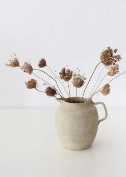 Afloral Natural Dried Queen Anne's Lace - 15-26