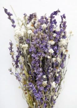 Afloral Larkspur And Daisy Dried Bouquet - 14-18