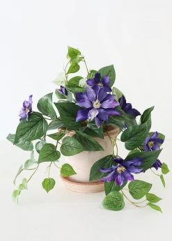 Afloral Bergs Elizabeth Terracotta Pot With Drainage - 6.5