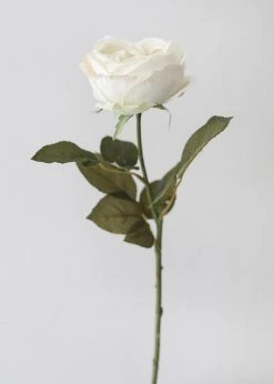 Afloral Eggshell Cream English Cabbage Rose - 25" Artificial Flowers