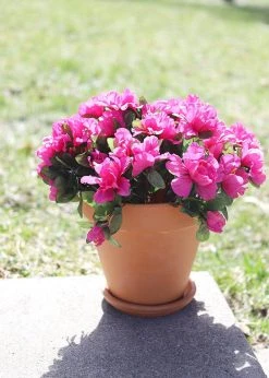 Afloral Azalea Silk Flowers Bush In Fuchsia - 13