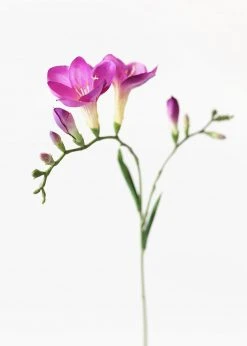 Afloral Fake Flower Freesia In Violet - 27"