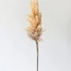 Afloral Fake Pampas Grass In Tan - 33" Artificial Plants