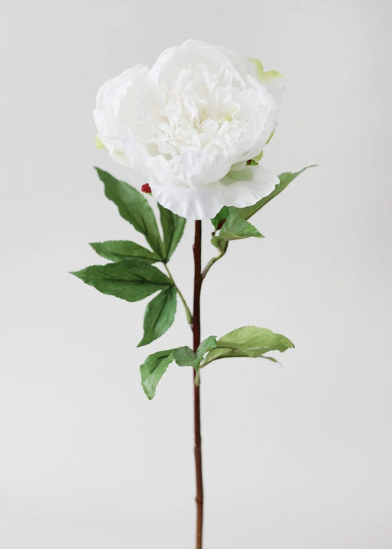 Afloral Natural Touch Peony In Cream White - 30"