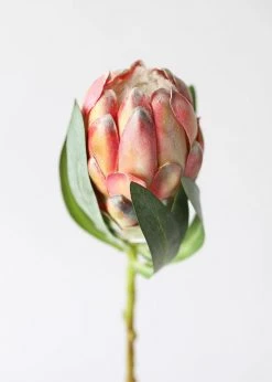 Afloral Faux Protea Flower In Coral Yellow - 18.5