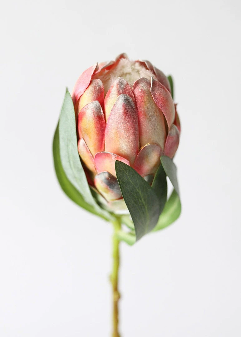 Afloral Faux Protea Flower In Coral Yellow - 18.5" Artificial Flowers