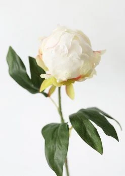 Afloral Artificial Flower Peony Bud In Cream - 18