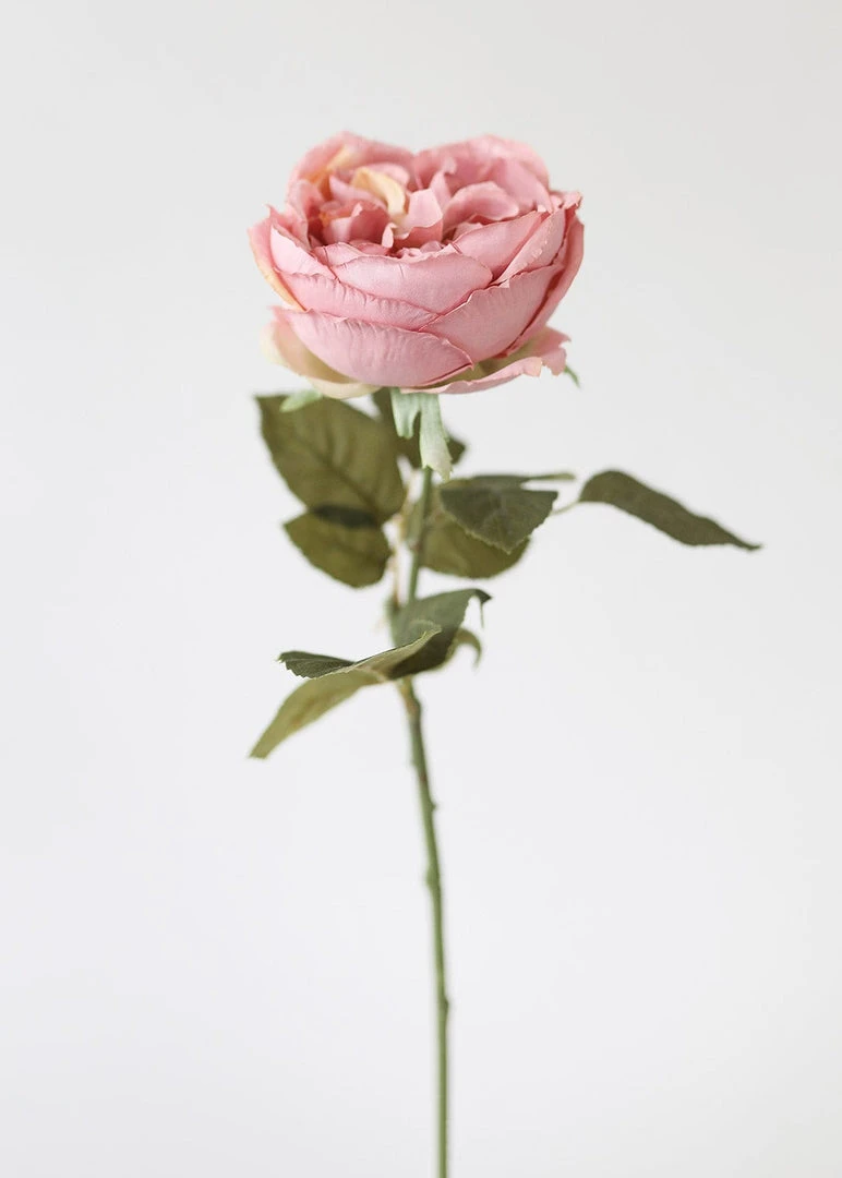 Afloral Artificial Flowers Silk English Cabbage Rose In Mauve - 25"