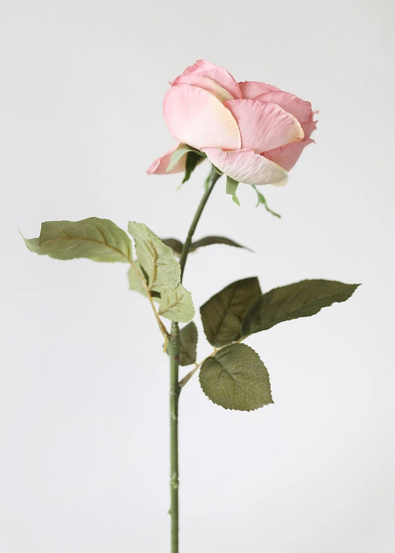 Afloral Artificial Flowers Silk English Cabbage Rose In Mauve - 25"