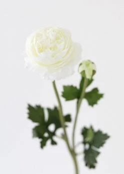 Afloral Cream White Ranunculus Silk Flower - 18.75" Artificial Flowers