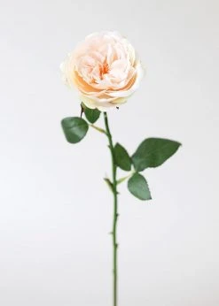 Afloral Artificial Flowers Peach Artificial English Cabbage Rose - 20.5"