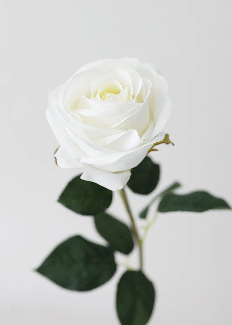 Afloral Real Touch White Rose Stem - 20"