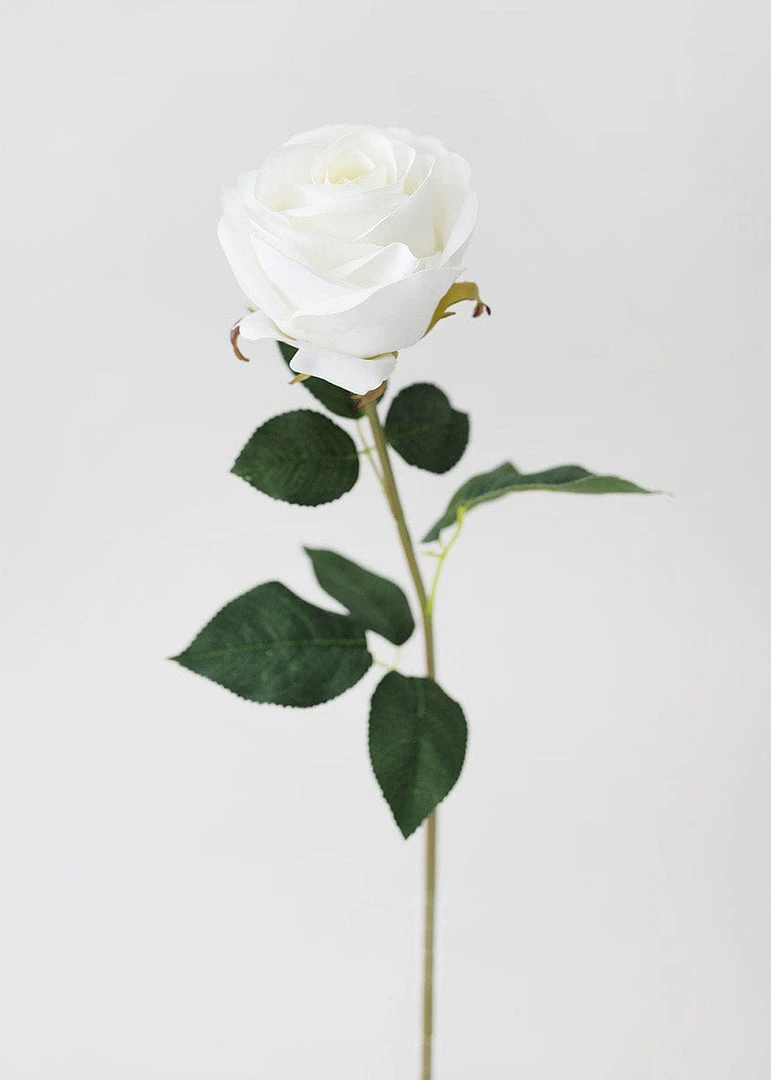 Afloral Real Touch White Rose Stem - 20"