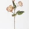 Afloral Beige Faux Dried Roses With Bud - 21"