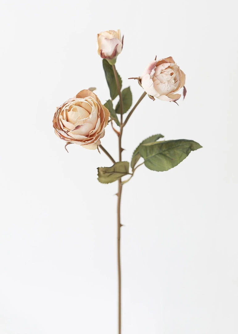 Afloral Beige Faux Dried Roses With Bud - 21"