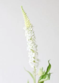 Afloral Cream White Veronica Artificial Flower - 30" Artificial Flowers