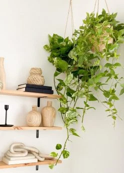 Afloral Artificial Plants Hanging Tradescantia Houseplant - 41