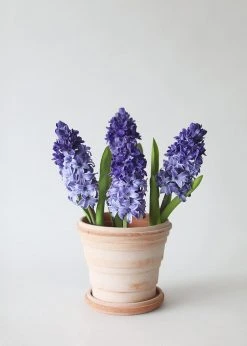 Afloral Artificial Purple Hyacinth Flowers - 12.5