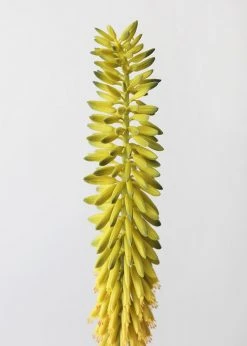 Afloral Green Yellow Fake Flower Agave Bloom - 34.25